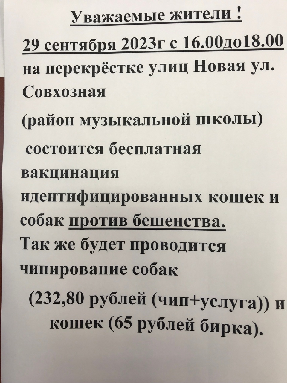 Бесплатная вакцинация кошек в москве 2024